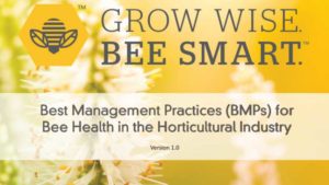 Here’s a New Guide for Growers on Best Management Practices for Bee Health