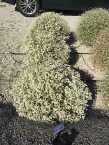 2016 Ohio State University Field Trials