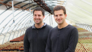 Why ArizonaEast Is Expanding Its Succulent Production To Florida