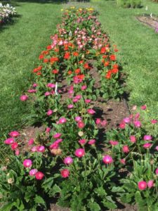 2016 Ohio State University Field Trials