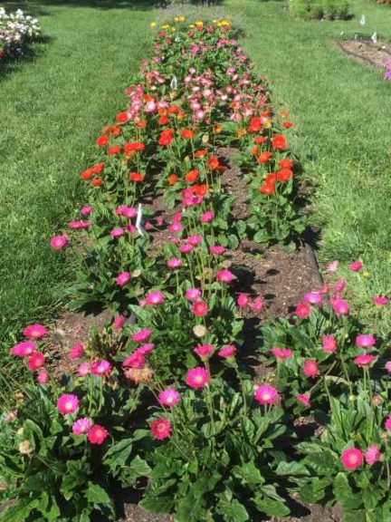 2016 Ohio State University Field Trials