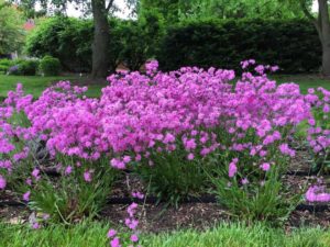 2016 Ohio State University Field Trials
