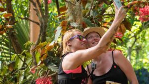 9 Trends That Could Influence Gardening in 2017