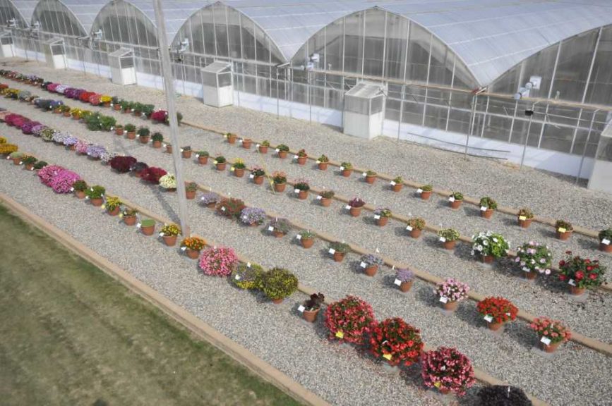 2016 C. Raker & Sons Field Trials Results