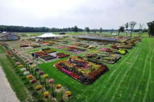 2016 C. Raker & Sons Field Trials Results