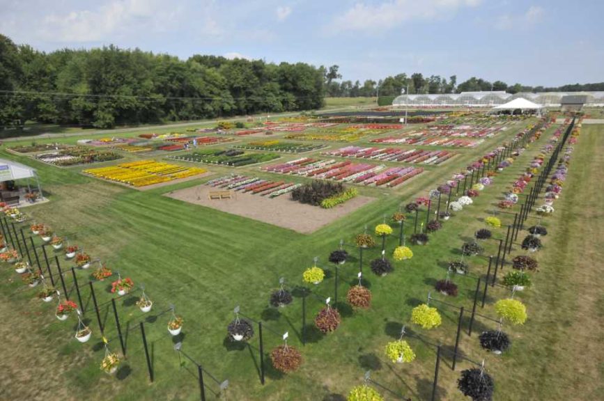 2016 C. Raker & Sons Field Trials Results