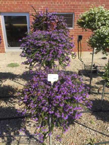 2016 Ohio State University Field Trials