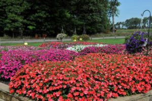 2016 C. Raker & Sons Field Trials Results