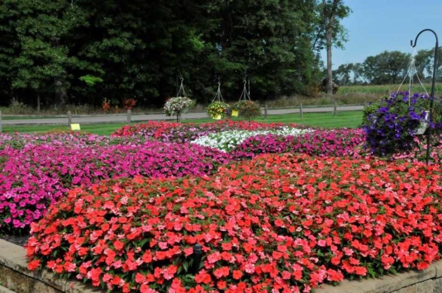 2016 C. Raker & Sons Field Trials Results