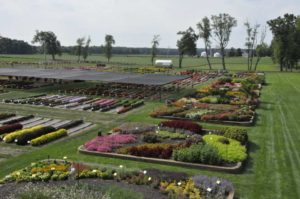 2016 C. Raker & Sons Field Trials Results