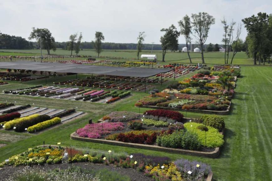 2016 C. Raker & Sons Field Trials Results