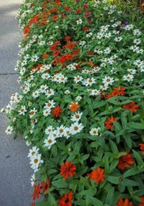 2016 Pike Creek Horticulture Center Field Trials Results