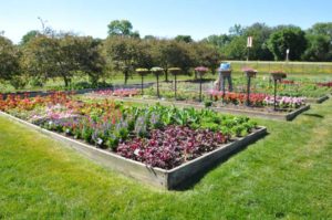 2016 Iowa State University Field Trials Results