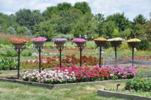 2016 Iowa State University Field Trials Results