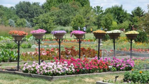 2016 Iowa State University Field Trials Results