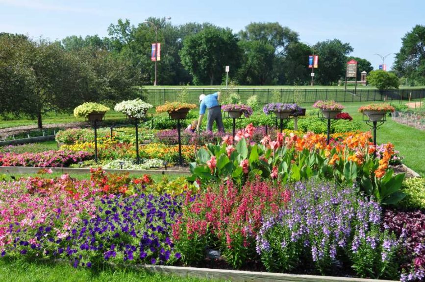 2016 Iowa State University Field Trials Results