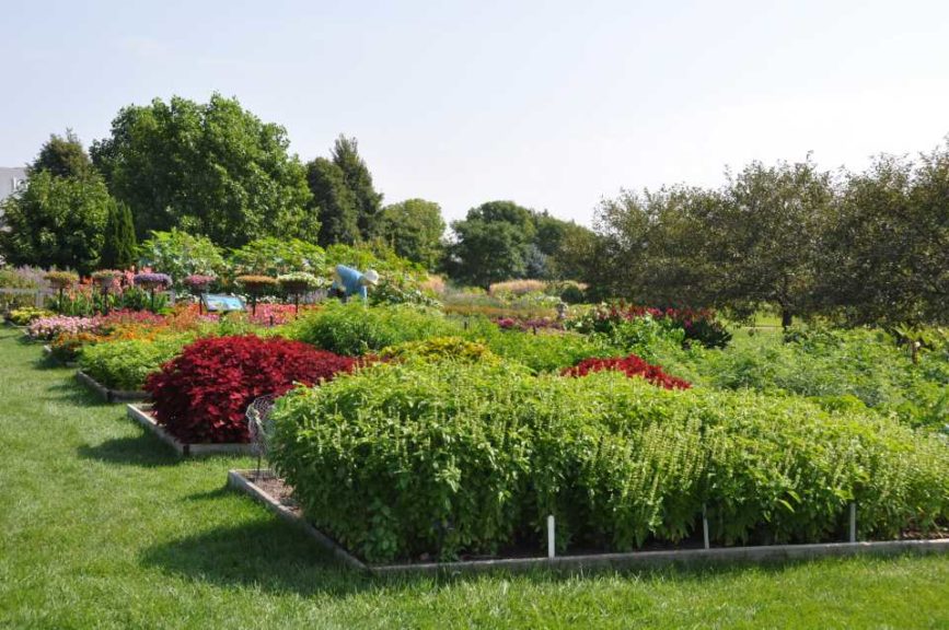 2016 Iowa State University Field Trials Results