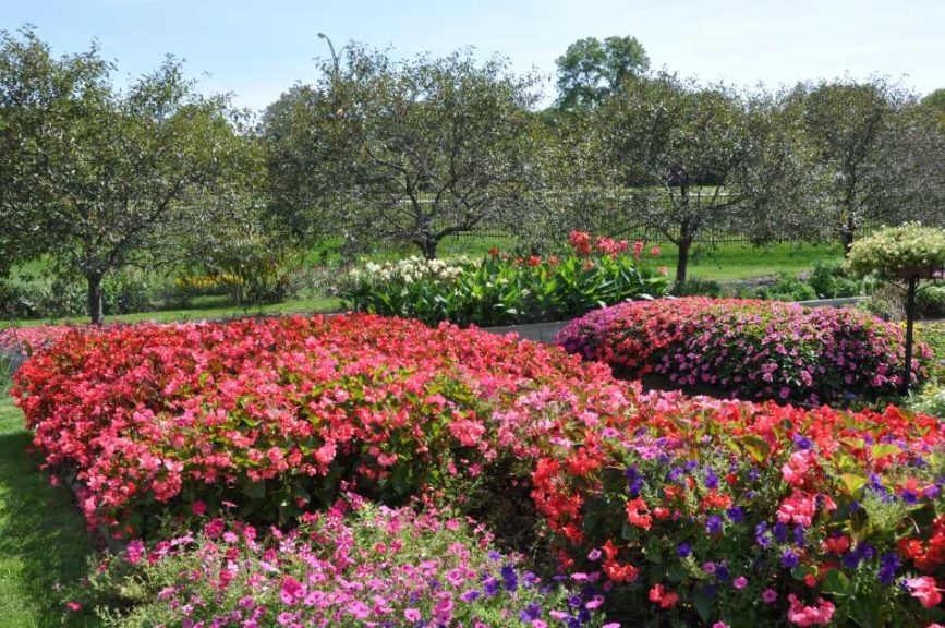 2016 Iowa State University Field Trials Results