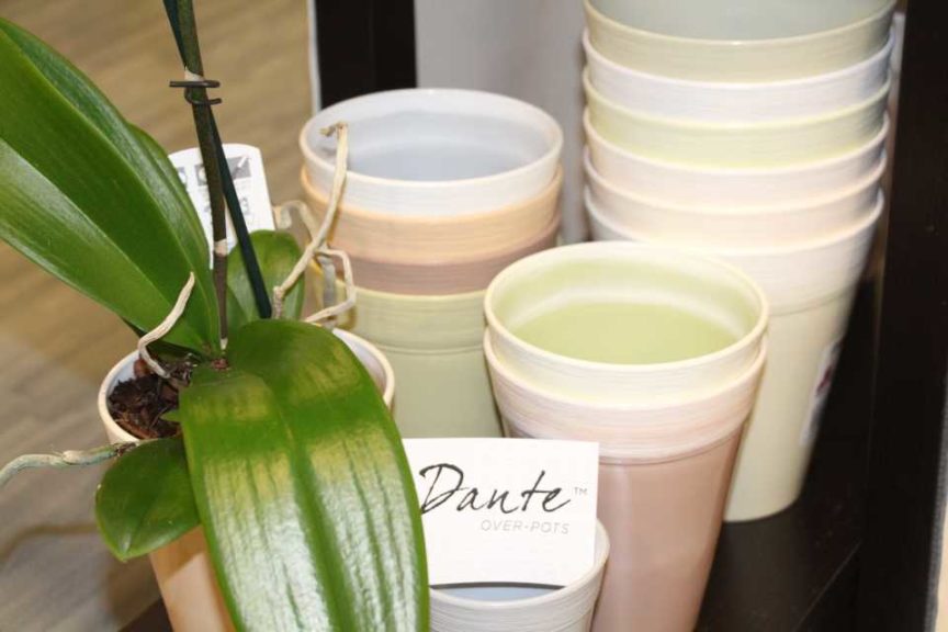 Trendsetting Products and Ideas From TPIE 2017