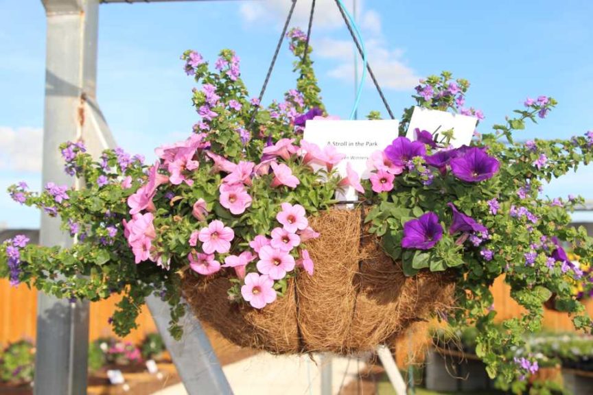 2017 Costa Farms Season Premier