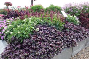 2016 Young's Plant Farm Field Trials Results