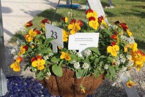 2017 Costa Farms Season Premier