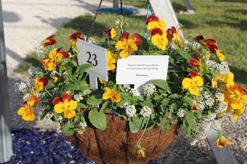 2017 Costa Farms Season Premier