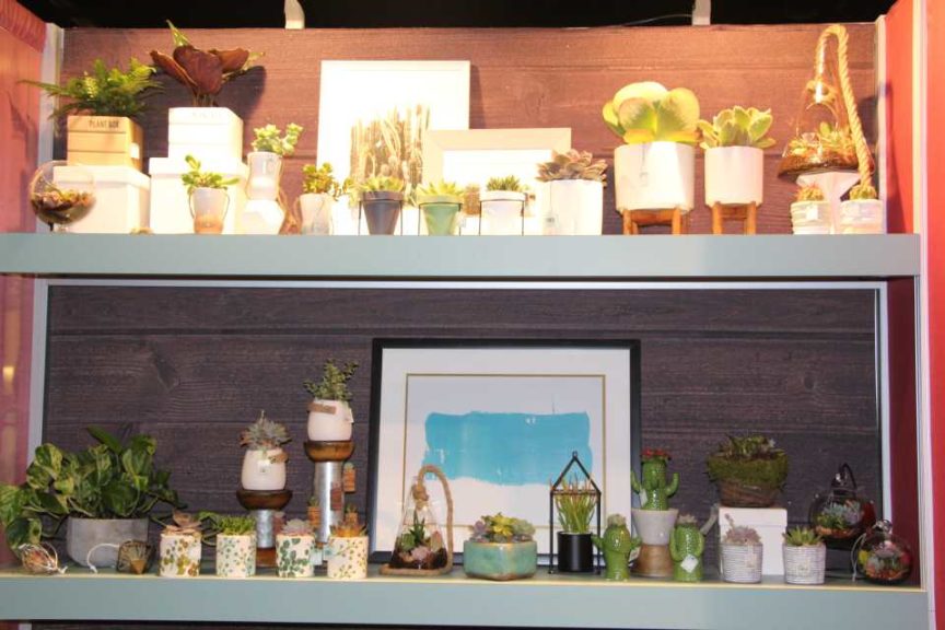 Trendsetting Products and Ideas From TPIE 2017