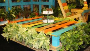 23 New Tropical and Foliage Plants from TPIE 2019