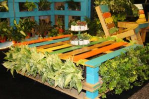 Trendsetting Products and Ideas From TPIE 2017