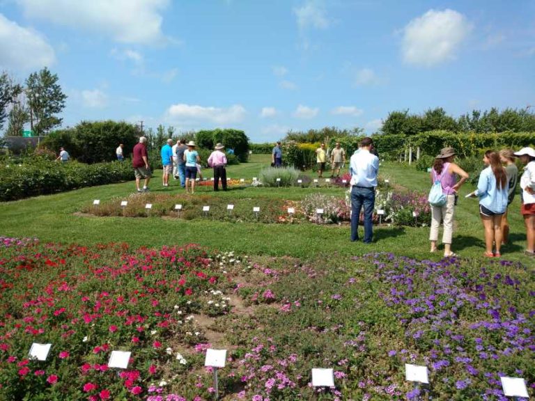 2016 University of Wisconsin Field Trials Results