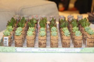 Trendsetting Products and Ideas From TPIE 2017