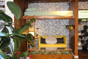 Trendsetting Products and Ideas From TPIE 2017