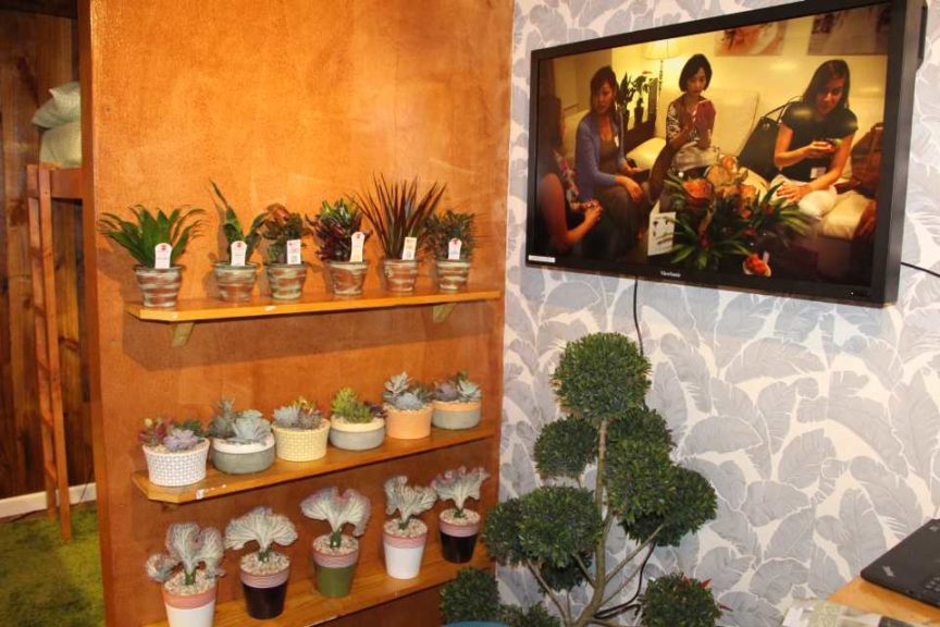 Drive Consumer Success: Offer Realistic Expectations — Then Exceed Them