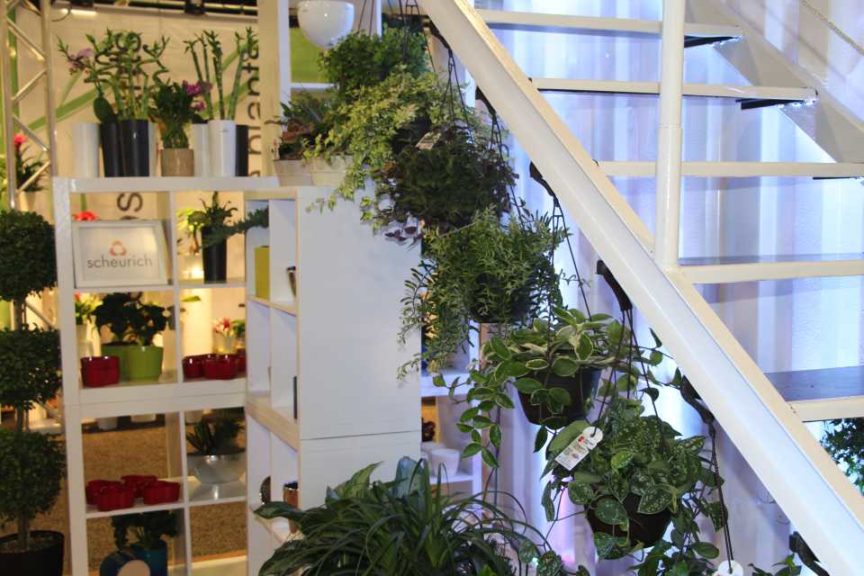 Trendsetting Products and Ideas From TPIE 2017