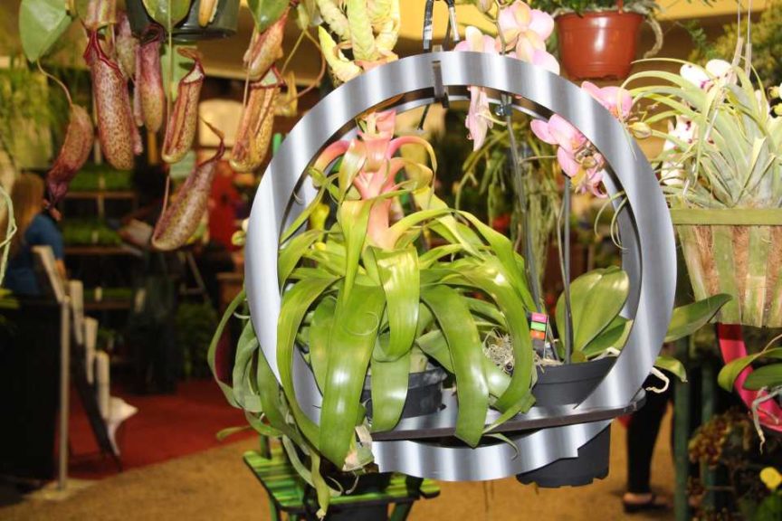 Trendsetting Products and Ideas From TPIE 2017