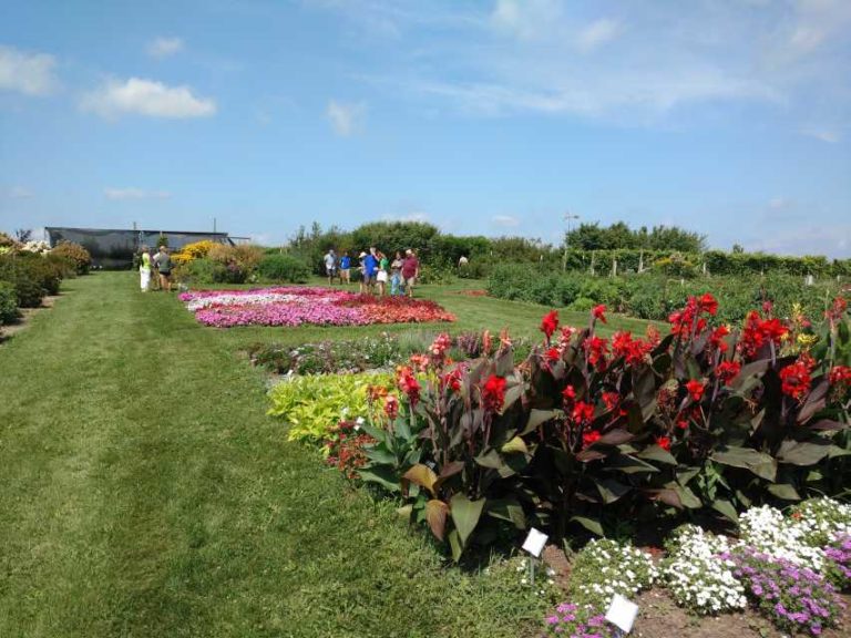 2016 University of Wisconsin Field Trials Results