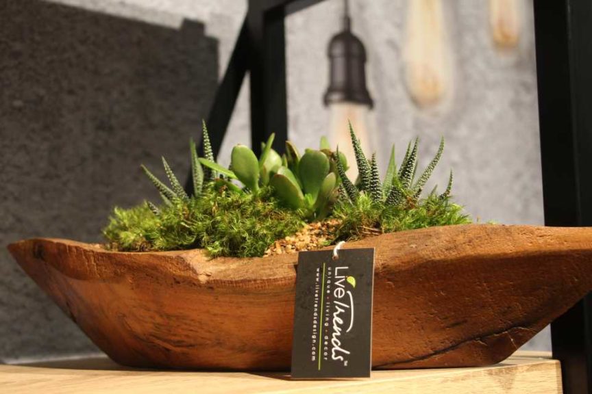 Trendsetting Products and Ideas From TPIE 2017