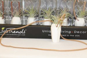 Trendsetting Products and Ideas From TPIE 2017