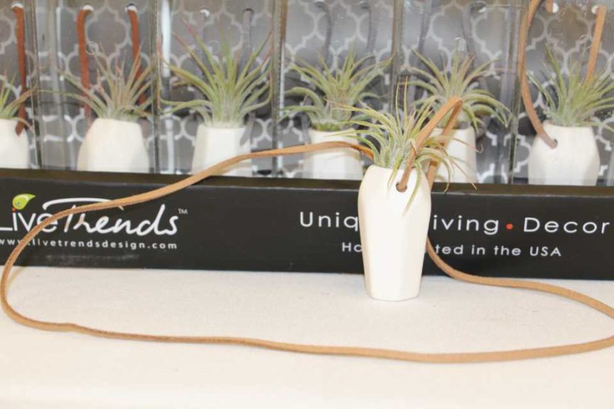 Trendsetting Products and Ideas From TPIE 2017