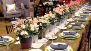 Seasonal Plant Trends for 2017 and Beyond