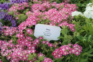 2017 Costa Farms Season Premier