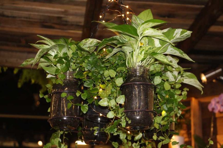 Trendsetting Products and Ideas From TPIE 2017