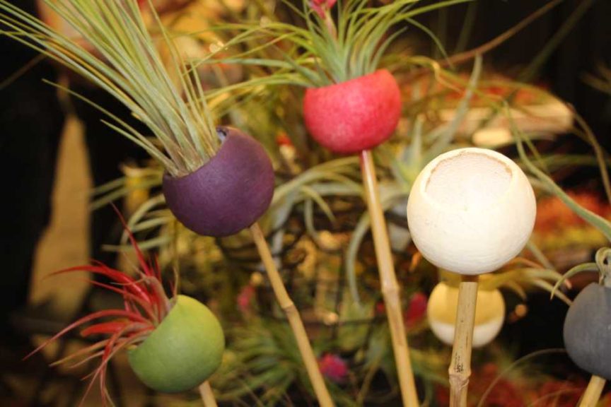 Trendsetting Products and Ideas From TPIE 2017