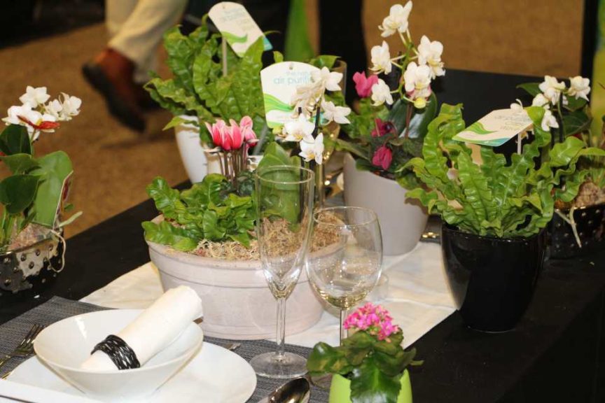 Trendsetting Products and Ideas From TPIE 2017