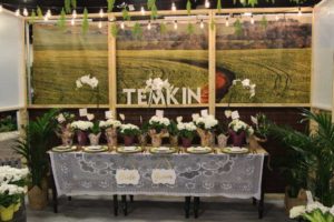 Trendsetting Products and Ideas From TPIE 2017