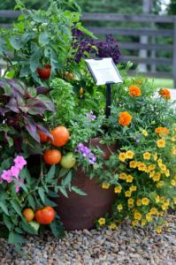 2016 Young's Plant Farm Field Trials Results