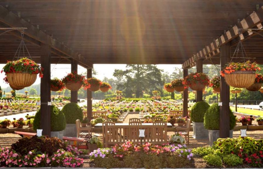 2016 Young's Plant Farm Field Trials Results