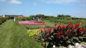 2016 University of Wisconsin Field Trials Results