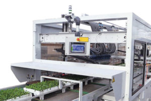 Visser Redline Transplanter